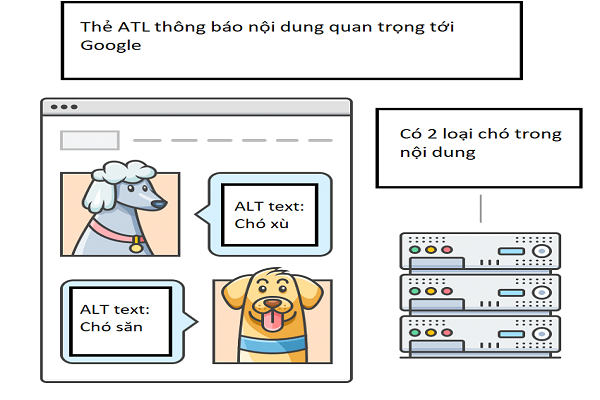 4 LƯU Ý ‘’VÀNG’’ KHI TẠO THẺ ALT CHO HÌNH ẢNH 2 Thẻ ALT rất quan trọng trong SEO