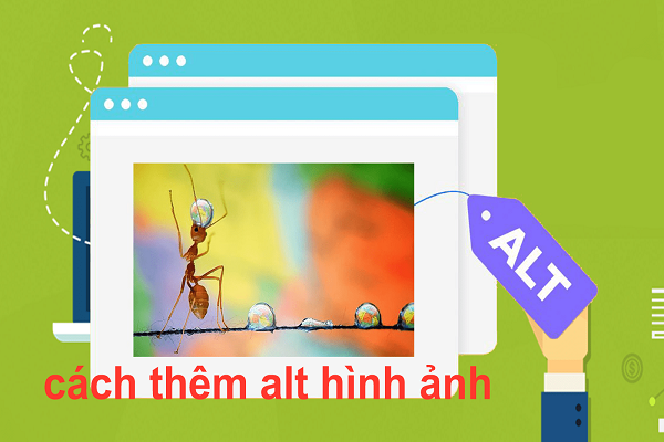 4 LƯU Ý ‘’VÀNG’’ KHI TẠO THẺ ALT CHO HÌNH ẢNH 1 Thuộc tính Alt là gì?