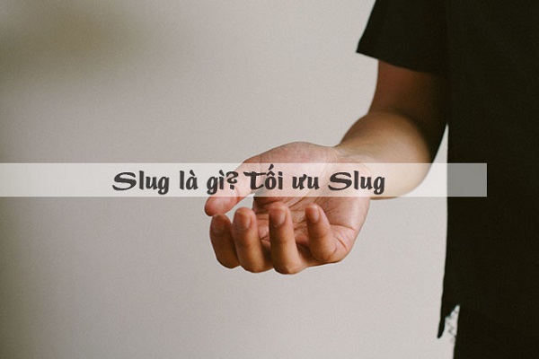 Tổng hợp cách tối ưu Slug trong SEO tốt nhất 2020 1 Tối ưu Slug đạt chuẩn SEO dễ dàng